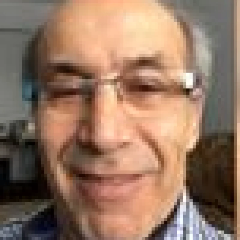 Mehmet Sinan TEMURLENK